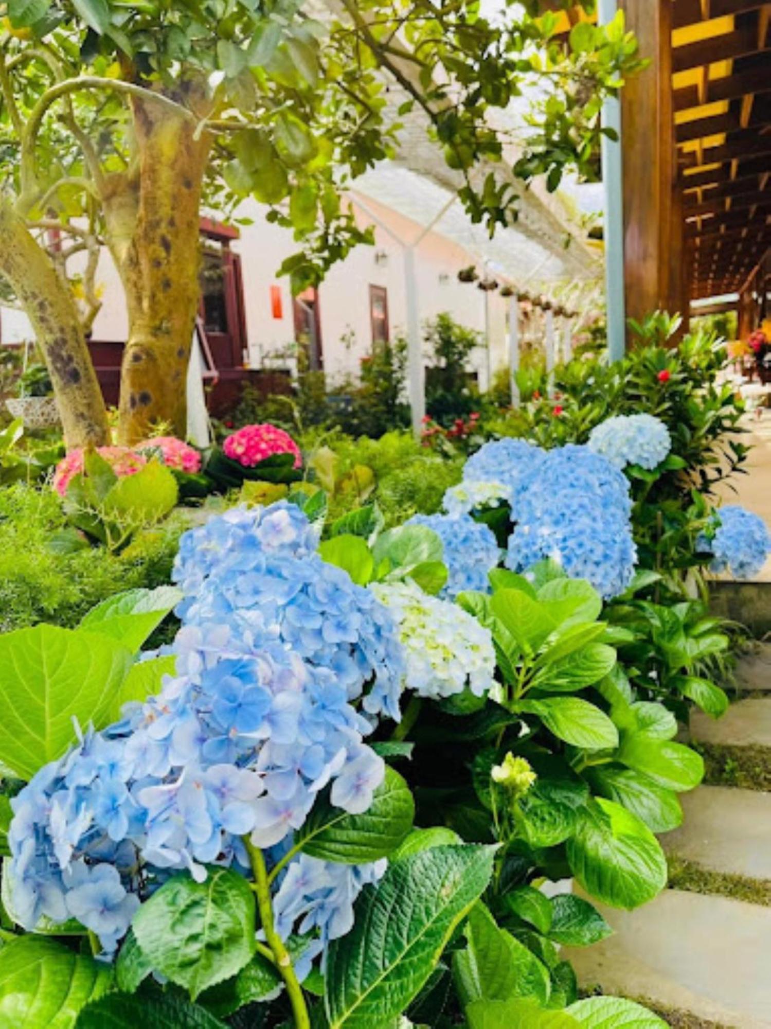 Vuon Tra Homestay Mang Den Kon Von Kla Exterior photo