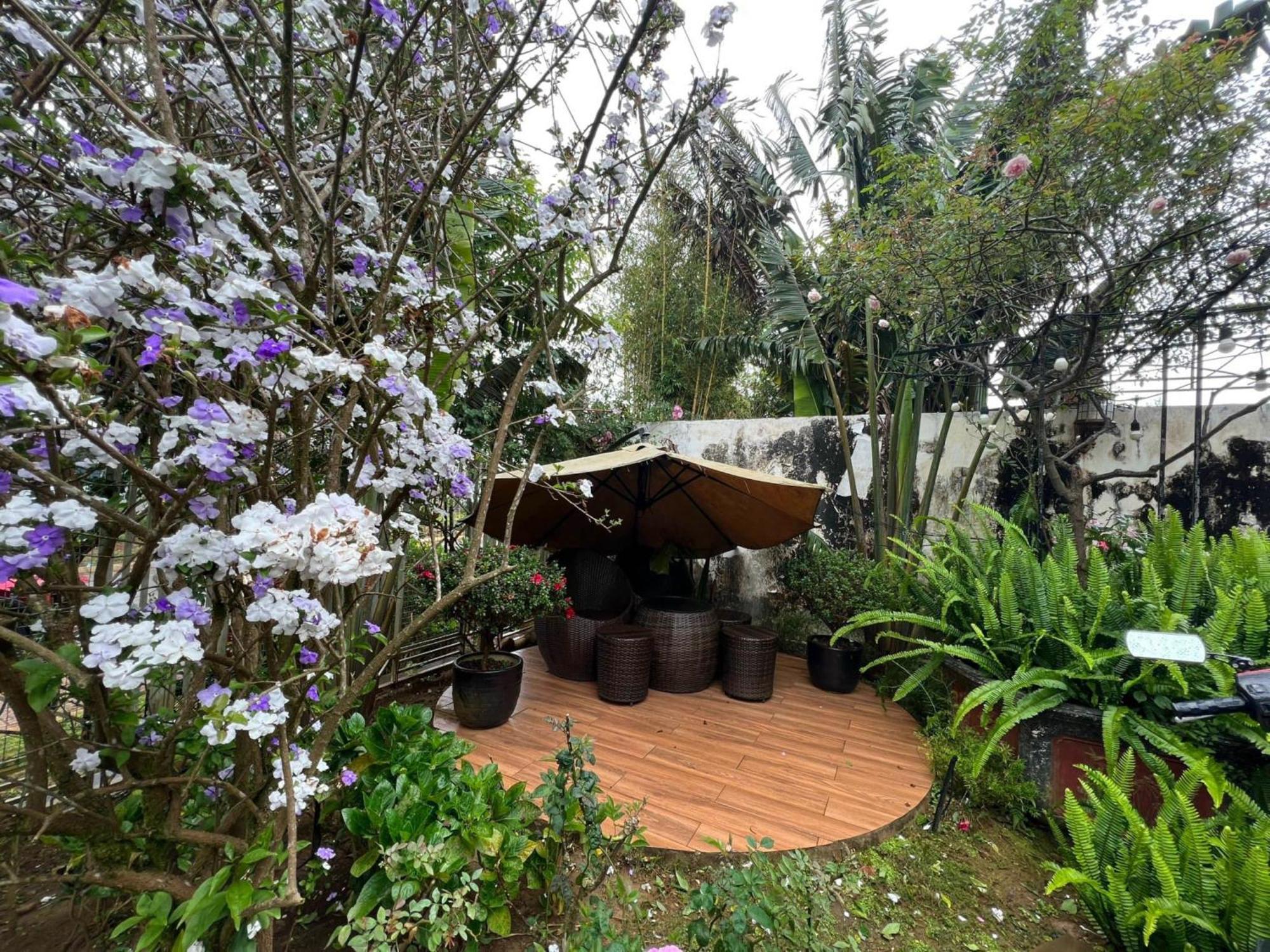 Vuon Tra Homestay Mang Den Kon Von Kla Exterior photo